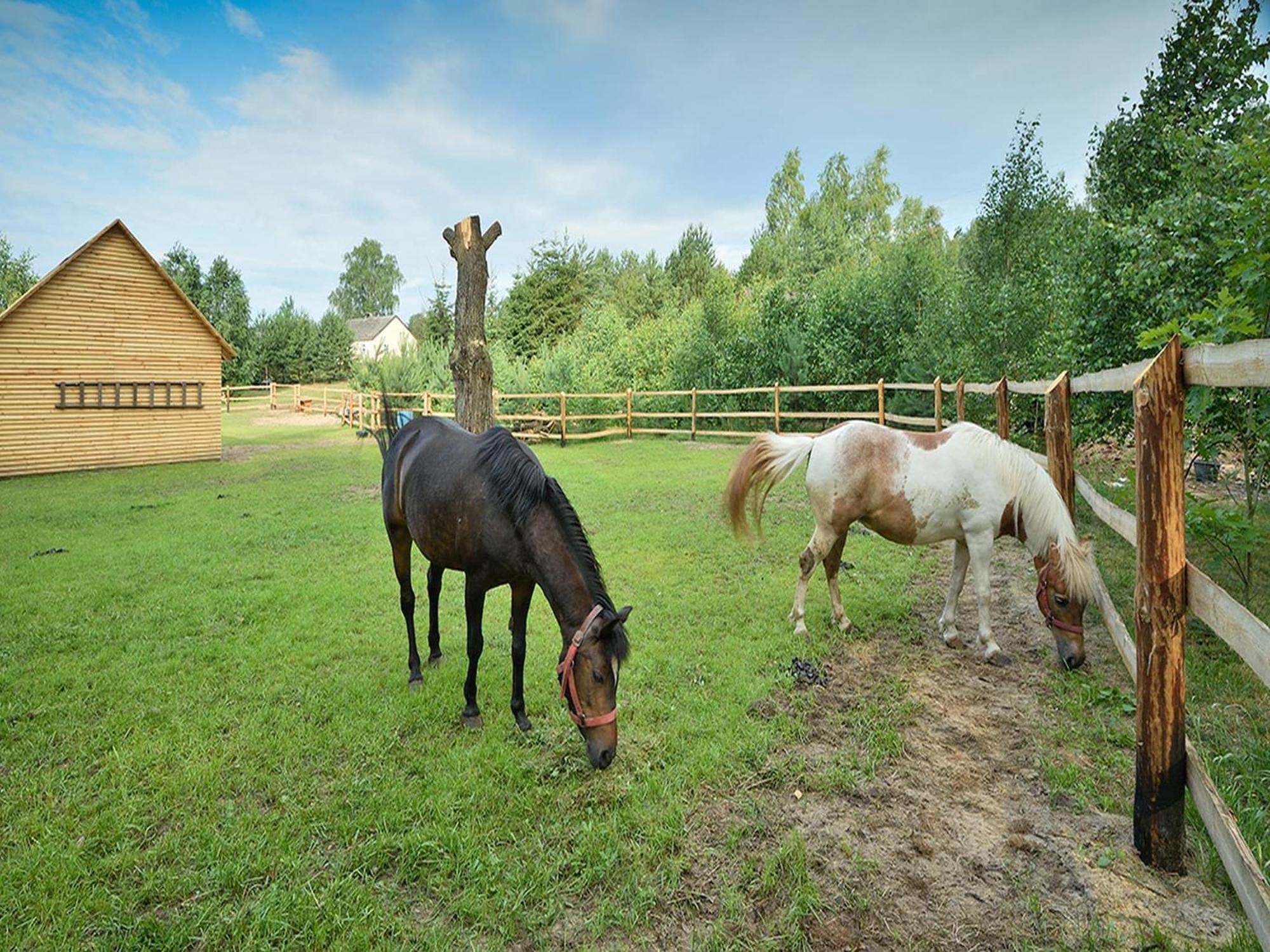 Wooden Holiday Home In Skrzynia With Terrace Osiek  Exteriör bild