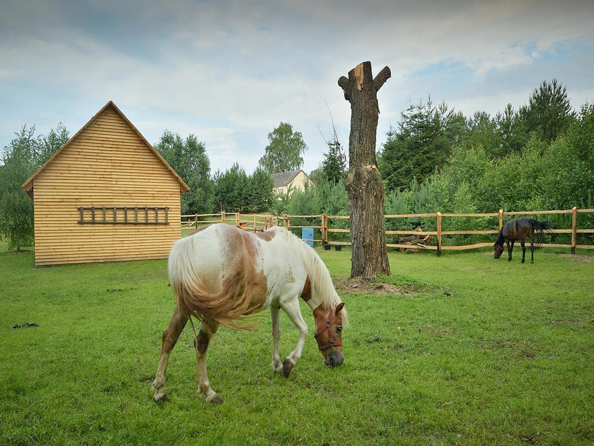 Wooden Holiday Home In Skrzynia With Terrace Osiek  Exteriör bild